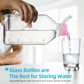 Absovetu dishwasher-safe glass bottles simplify cleaning and reuse