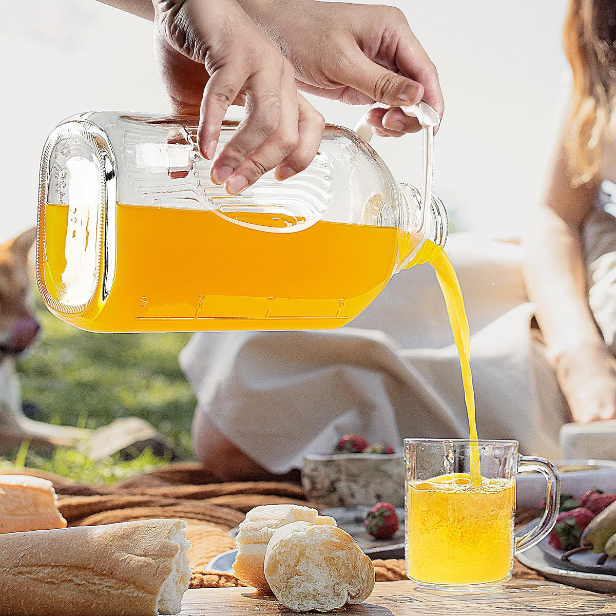 Absovetu includes extra lids and handles for replacement and convenience