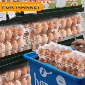 ALISWAT egg carton features snap-closure for reusable storage