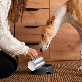 Ashmacdo wide mouth facilitates quick scooping of wet or dry pet foods.