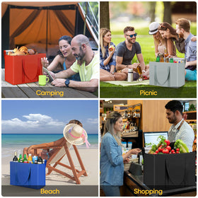 BALEINE insulated bag keeps groceries organized for easy checkout