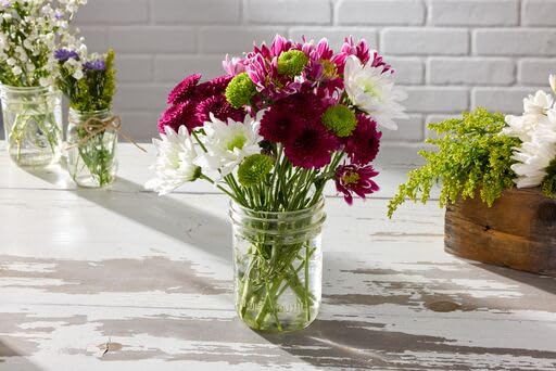 Ball USA-made BPA-free glass jar highlighting durable construction for repeated use.
