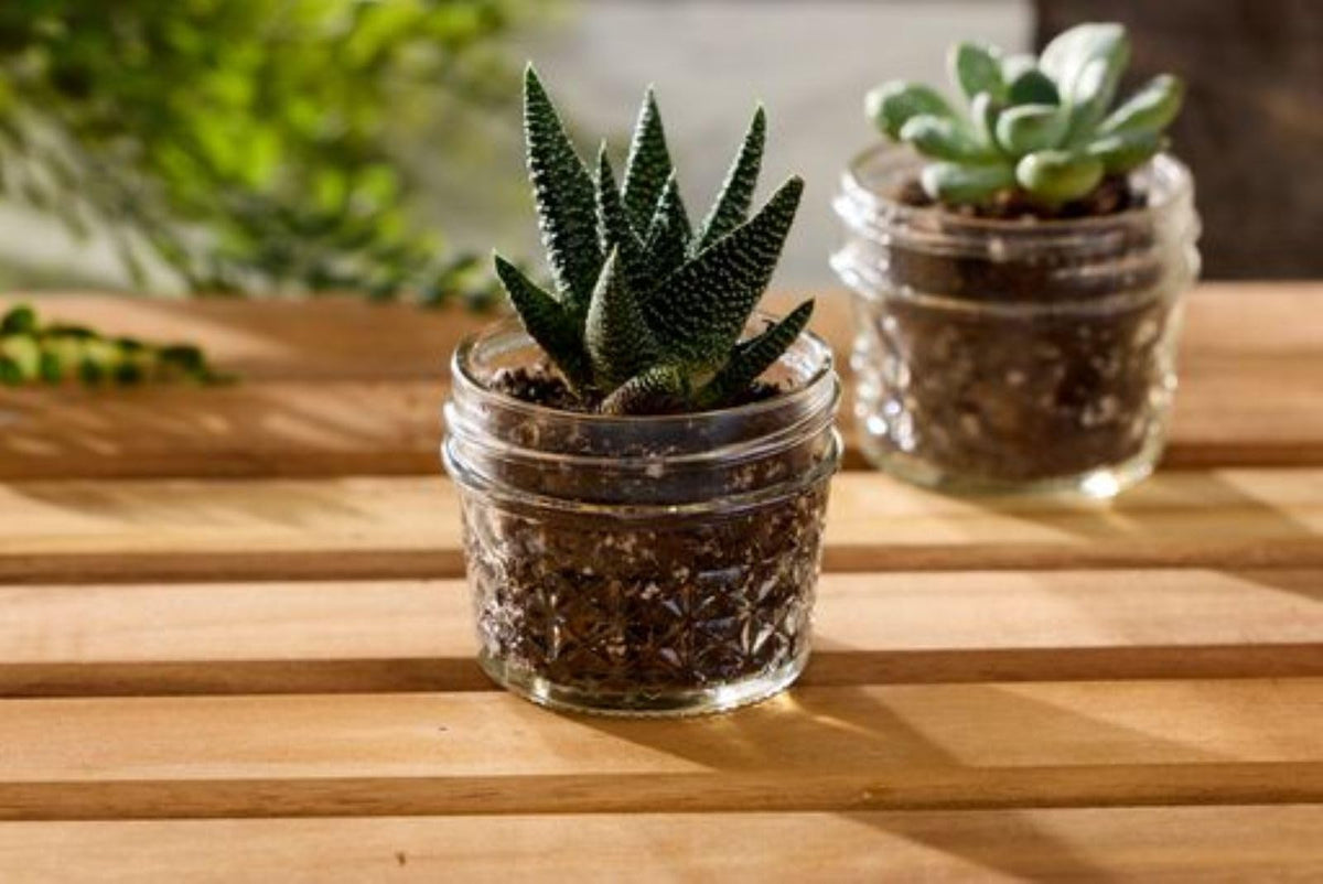 Ball wide-mouth jar for food storage and easy transport of small portions.
