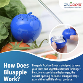 BluApple unit in fridge crisper preserves texture and color of produce.