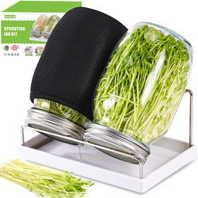Boombamo sprouting kit in-use demo for easy setup.