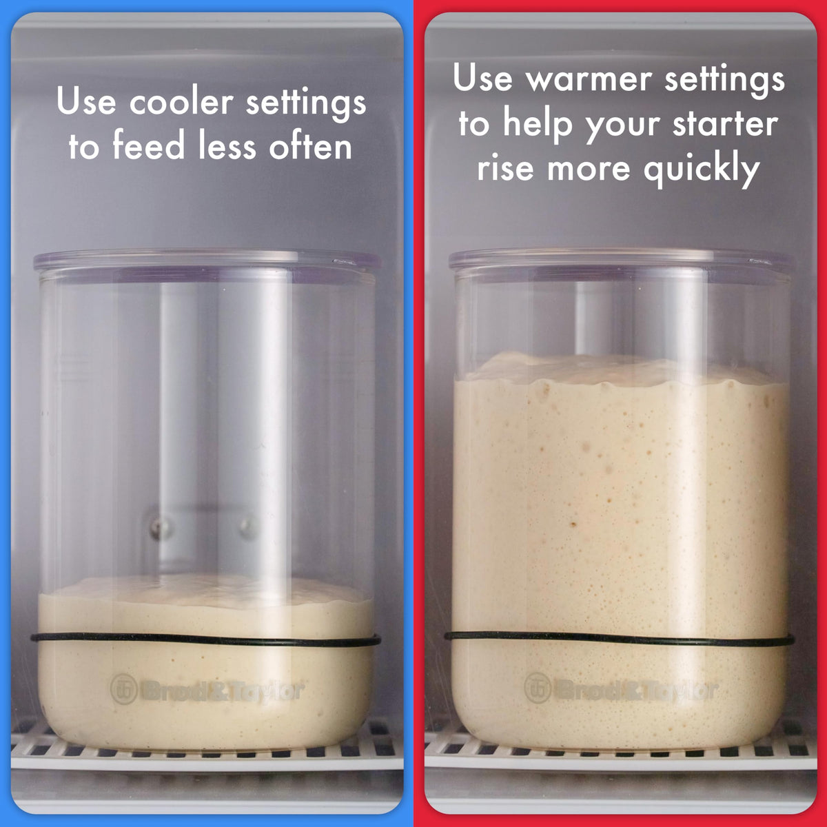 Brod & Taylor starter jar clear glass with measurement marks for growth