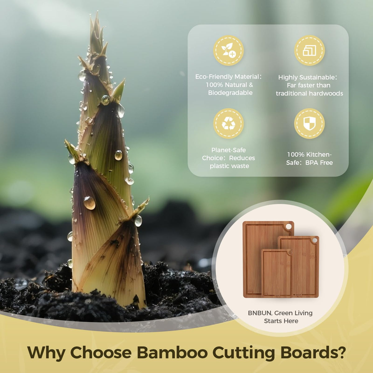 BTHW board cross-laminated structure resists warping.