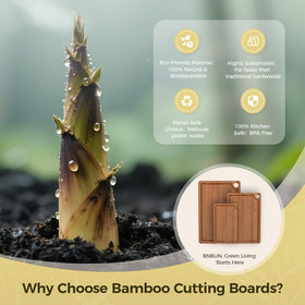 BTHW board cross-laminated structure resists warping.
