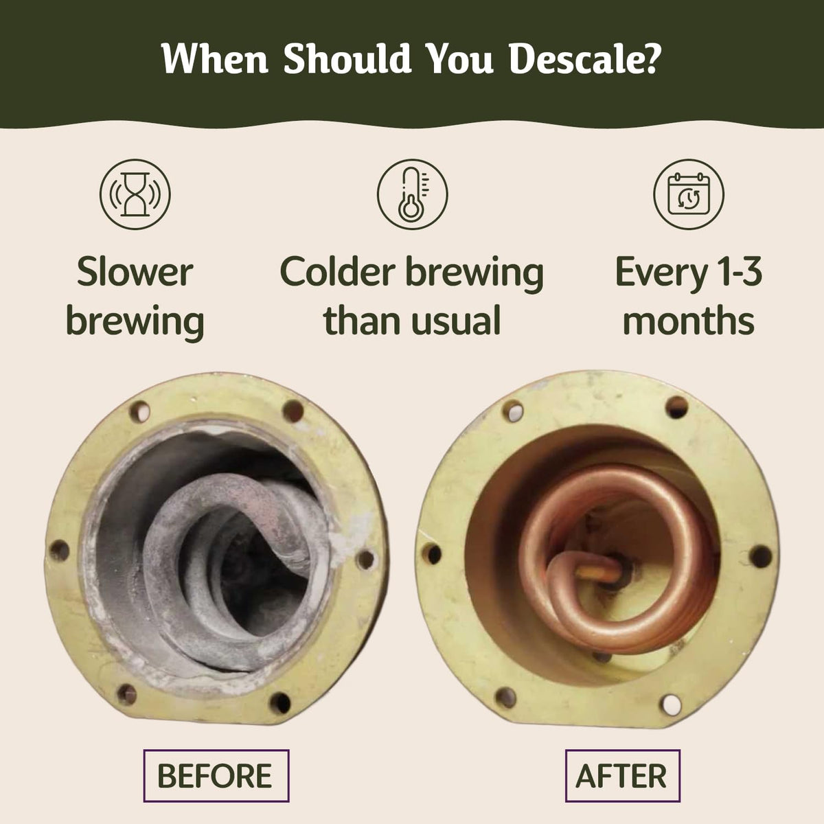 Caffe Assaggio Breville Descaler carbon-friendly claim on packaging