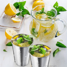 CHILLOUT LIFE cups ideal for camping, picnics, and travel adventures.