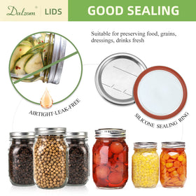 Dalzom lids compatible with Ball and Kerr jars for quick, reliable sealing