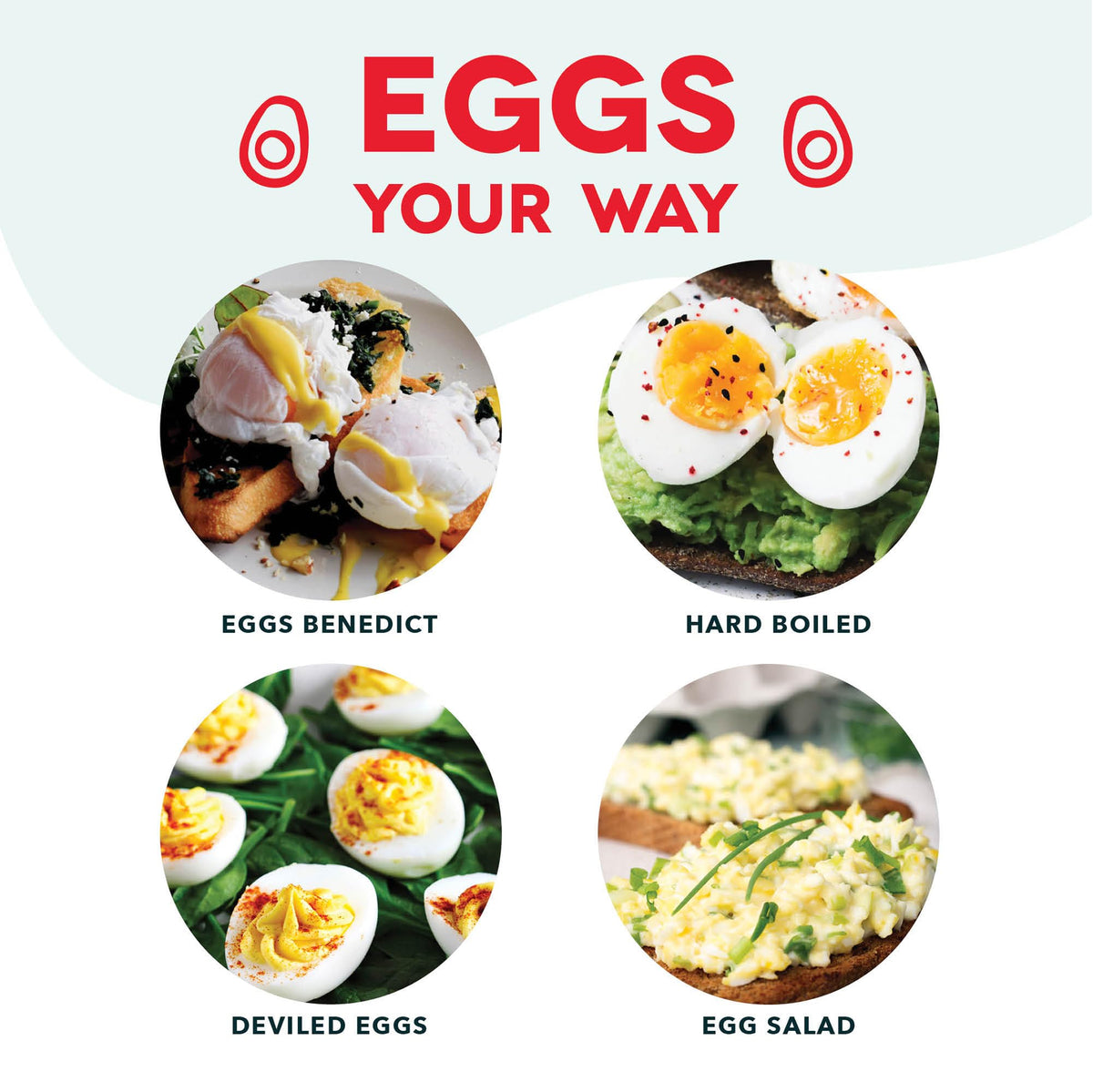 DASH Rapid Egg Cooker dishwasher-safe design simplifies cleanup after meals