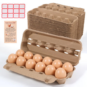 DecarDamai egg carton with secure front clasp for safe transport.