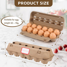 DecarDamai egg carton interior pillars provide stability during handling.