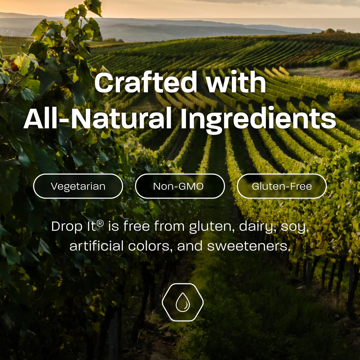 USA-made formula supports natural, gluten-free wine customization.