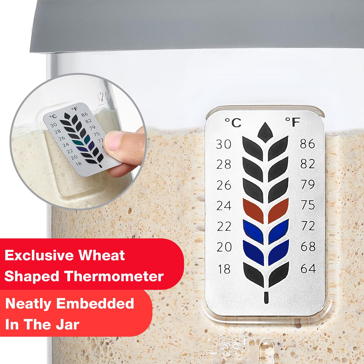 Farielyn-X silicone lid-base provides spill-free sealing.