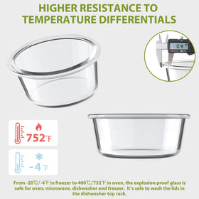 Freshmage dishwasher-safe glass meal prep containers for easy cleanup.