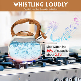 GGC Tea Kettle simple-button control makes pouring safer and easier.