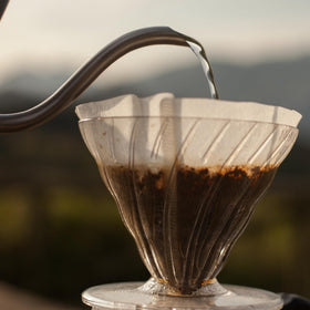 Hario V60 Size 02 filters ideal for 1–4 cup batches