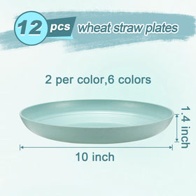 HEYCOME six-color plate set adds vibrant color to meals.