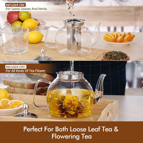 HIWARE glass teapot top rack dishwasher safe for easy cleanup