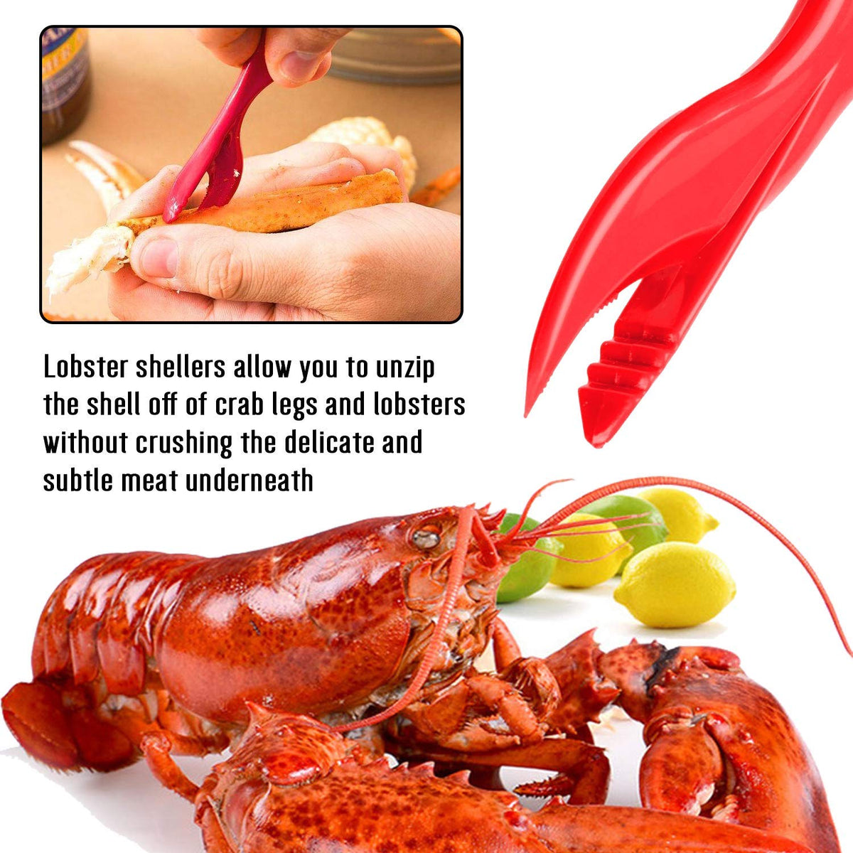 HIWARE seafood scissors in stainless steel for clean cuts.