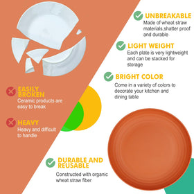 Homienly microwave-safe plates support quick reheating with reliable shape retention.