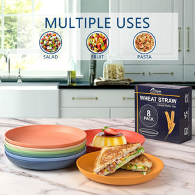 HOTEC 8-pack 9-inch plates in vibrant colors