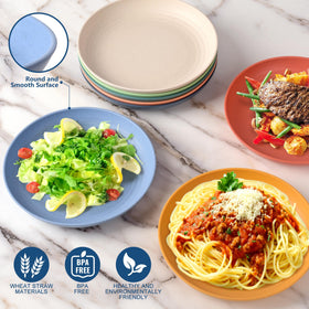 HOTEC dishwasher-safe plate ideal for easy cleanup