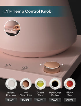 INTASTING kettle temperature control panel delivers accurate heating.