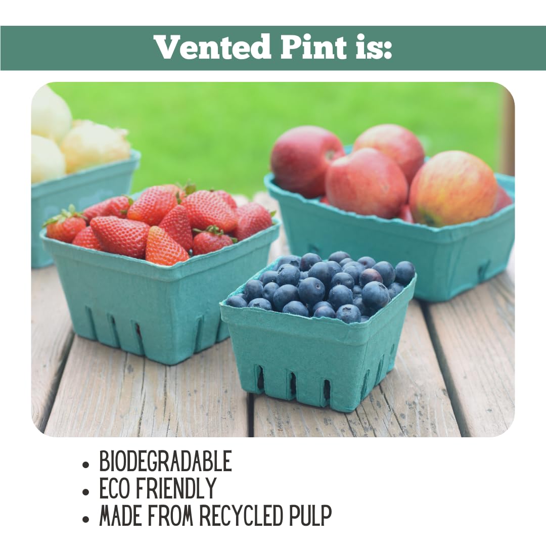 JA Kitchens vented 1-pint basket keeps berries breathable during display