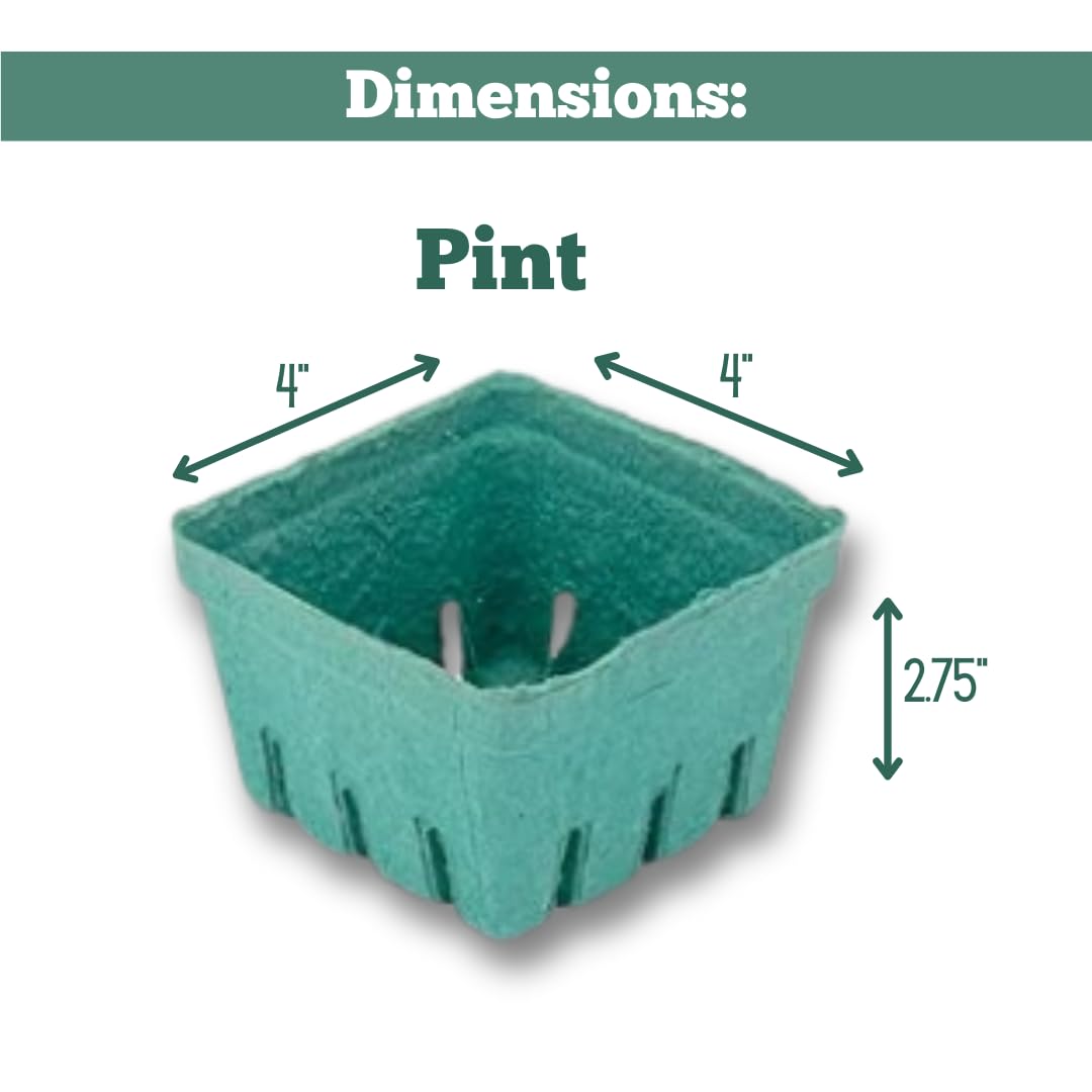 JA Kitchens durable berry basket withstands splashes and handling