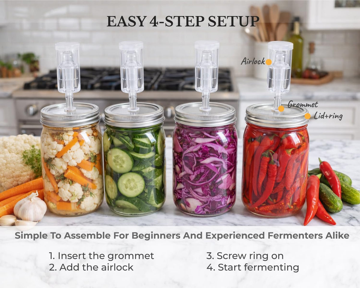 JILLMO reusable fermentation kit designed for long-term kitchen use.