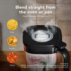 Blender handling hot and cold textures from roasted tomatoes to frozen fruit