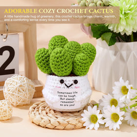 Launrada crocheted cactus adds a cheerful, uplifting touch to a care package.