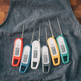 Lavatools Javelin NSF-certified thermometer for professional-grade standards.