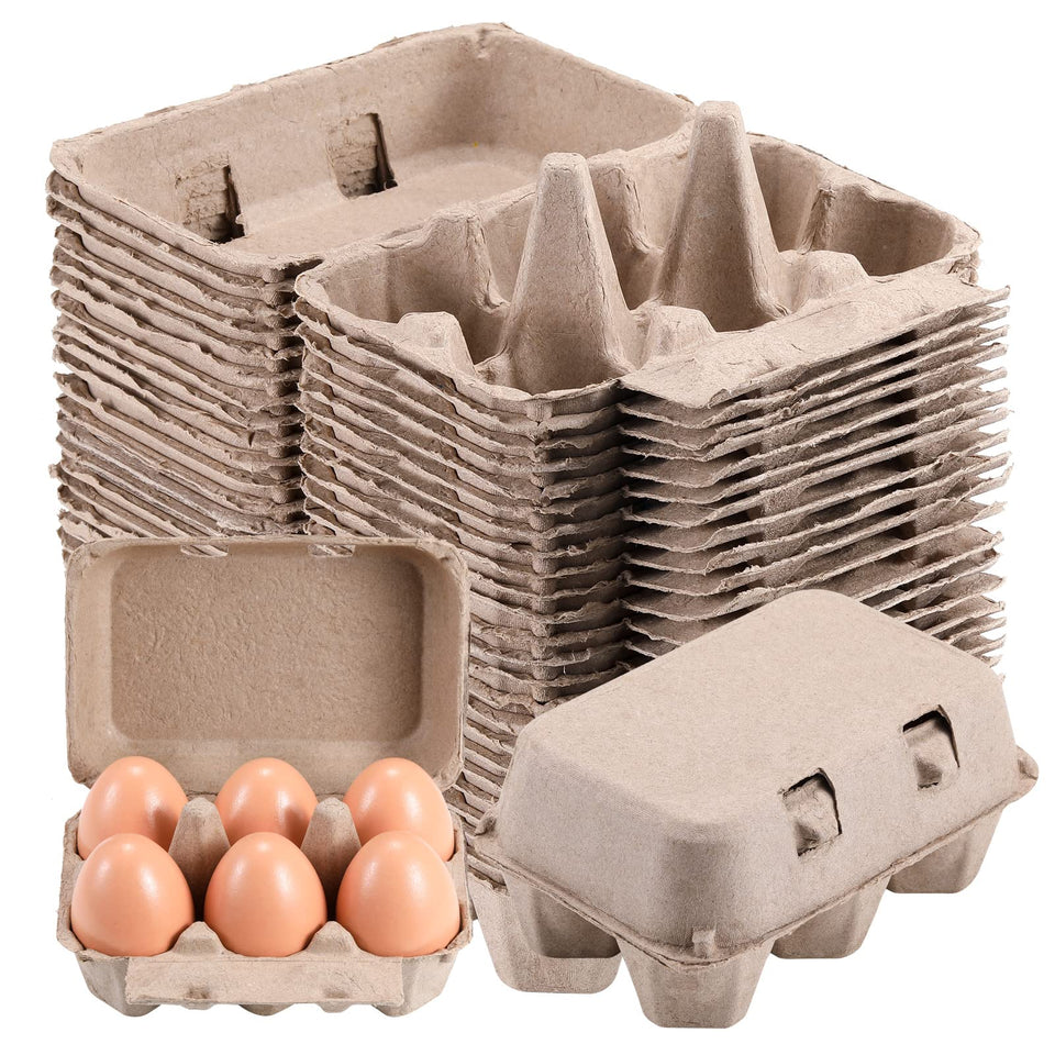 LayHyand six-cavity egg carton front view showing six-eggs layout
