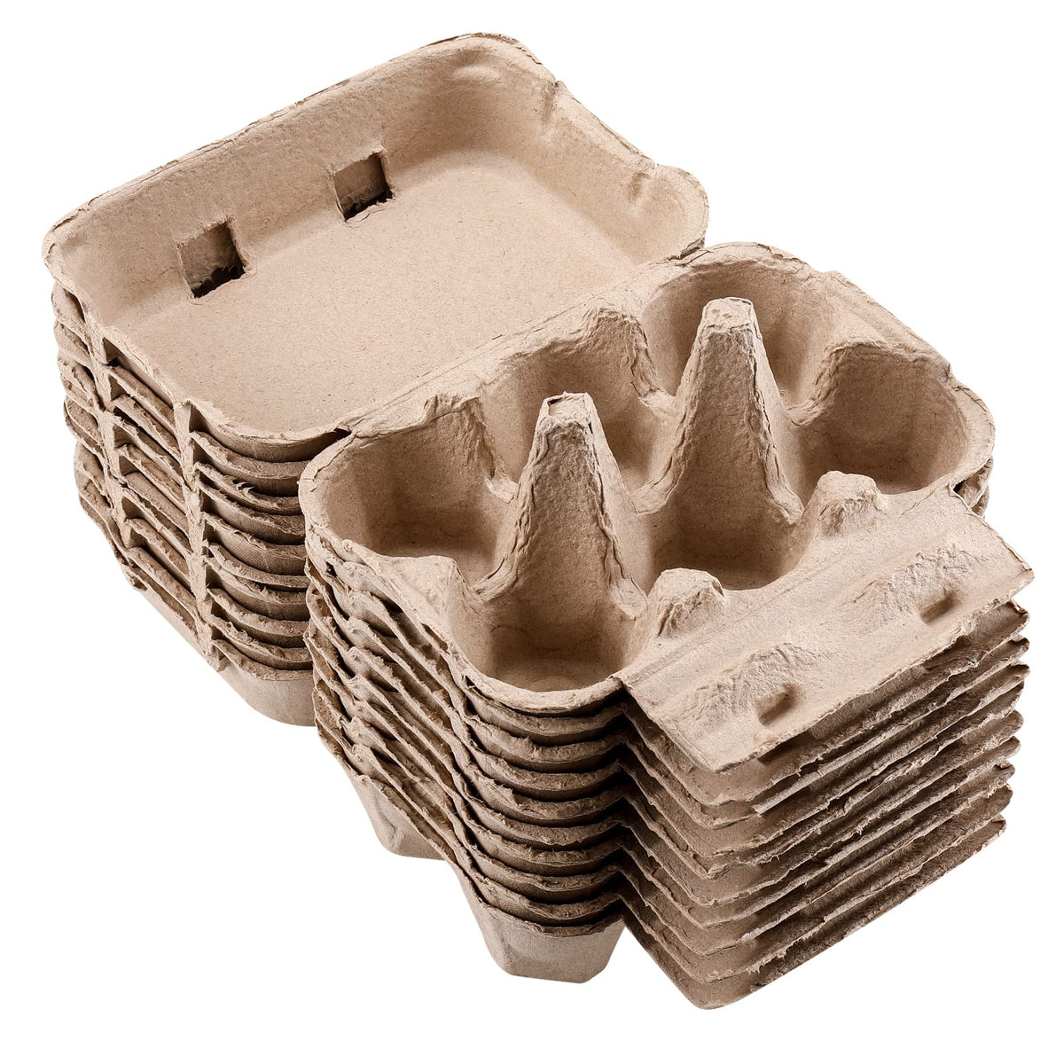 LayHyand six-eggs carton storage for organized home or farm use