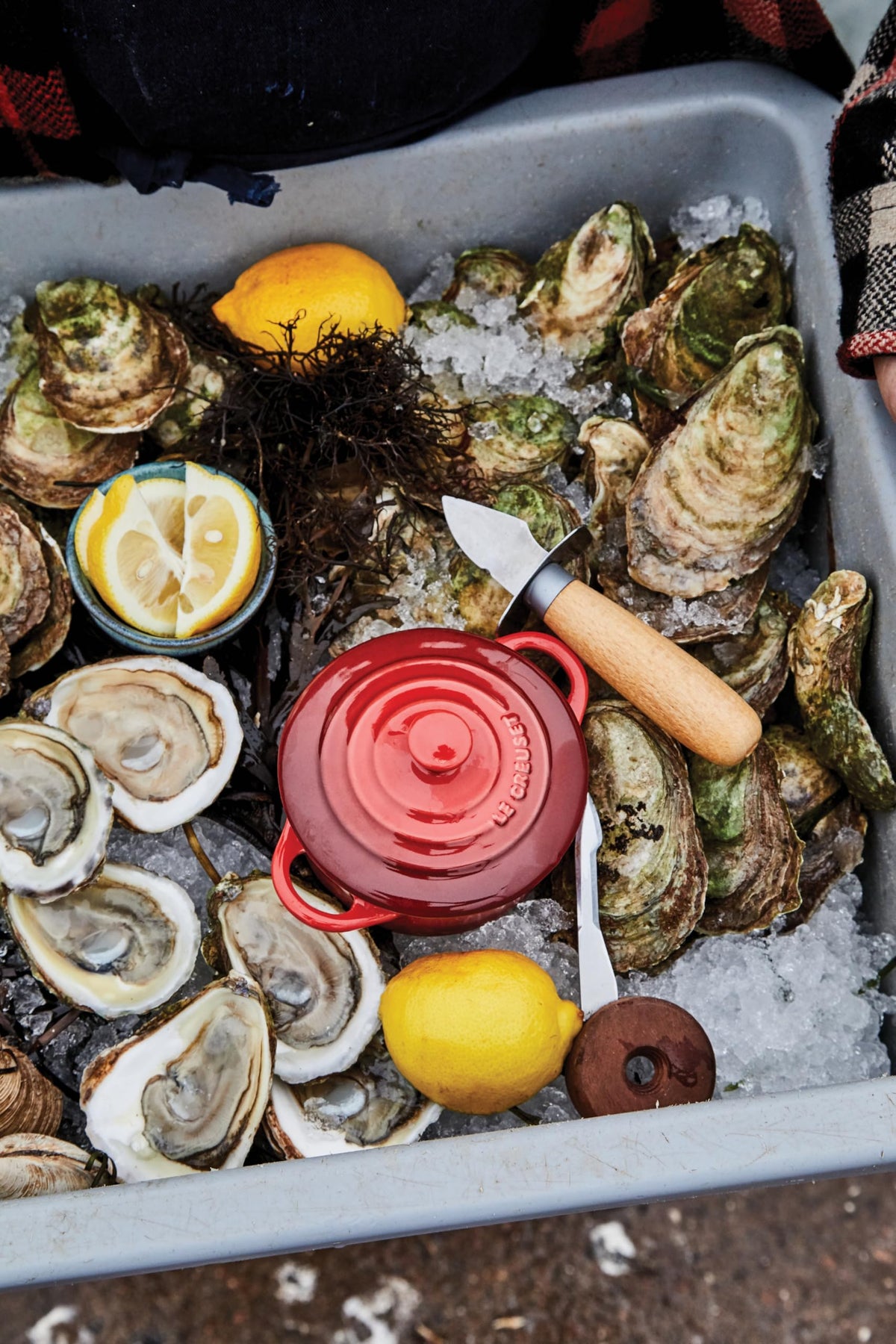 Le Creuset mini round cocotte on colorful kitchen display for easy prep and serving.