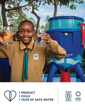 LifeStraw Go on-the-go bottle fits easily in bags for everyday use