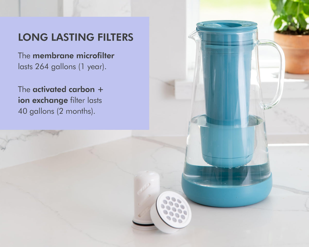 LifeStraw Home microfilter closeup underscores bacteria and parasite removal capabilities.
