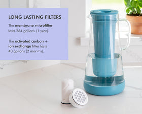 LifeStraw Home microfilter closeup underscores bacteria and parasite removal capabilities.