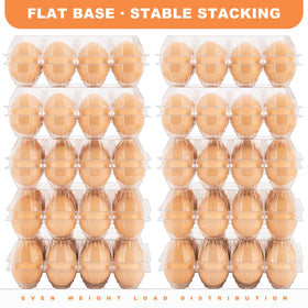 Lixavaer seven snap-lock closures keep eggs secure during transit.