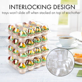 LotFancy 240-liner pack ready to stock bakery displays and catering orders.