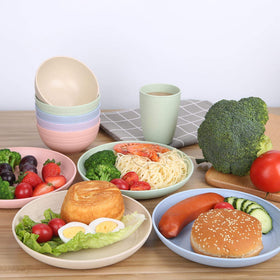 LuckyZone unbreakable wheat straw plate showing durable edge