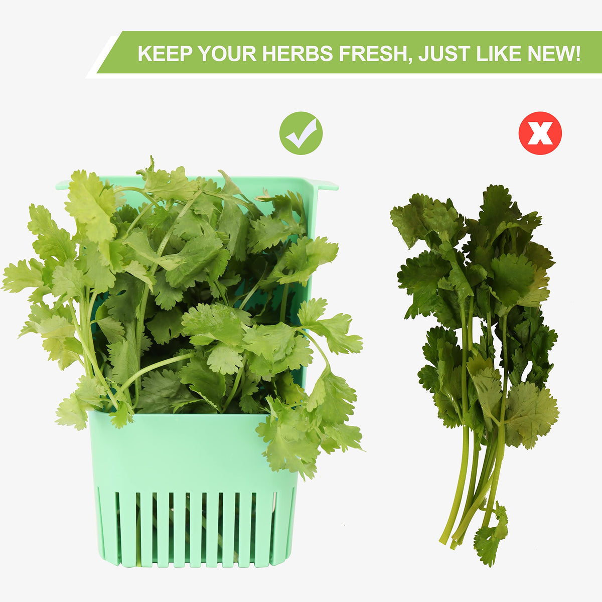 LUVCOSY BPA-free plastic keeps herbs safe and clean.