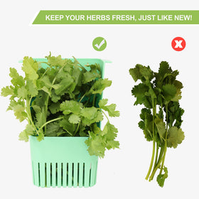 LUVCOSY BPA-free plastic keeps herbs safe and clean.
