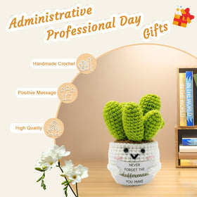 LUICONMO Handmade crochet succulent adds desk personality and texture.