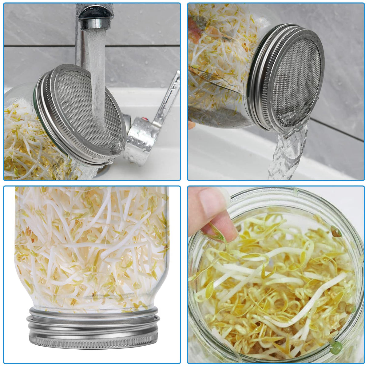 Lulonpon One Sprouting Jar Kit stainless bracket provides sturdy, durable support.