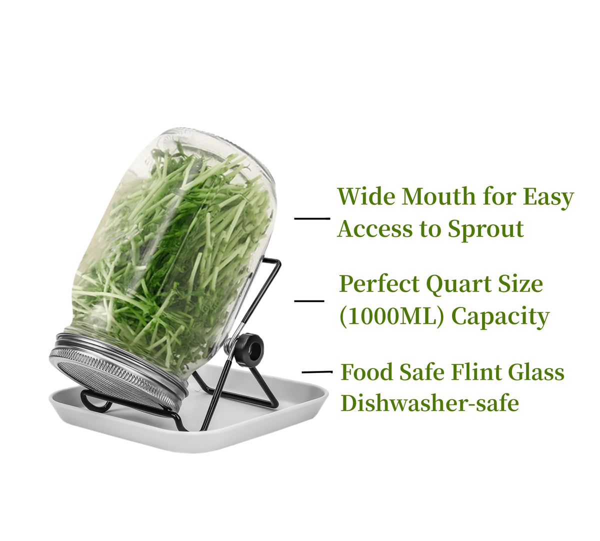 Lulonpon sprout jar kit: stainless-steel lids ensure airflow and hygienic germination